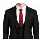 Burberry Style Men's Check Silk Tie - Model Main Image