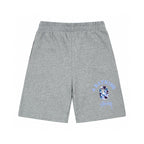 Stüssy x BAPE Camo Blue Graphic Shorts