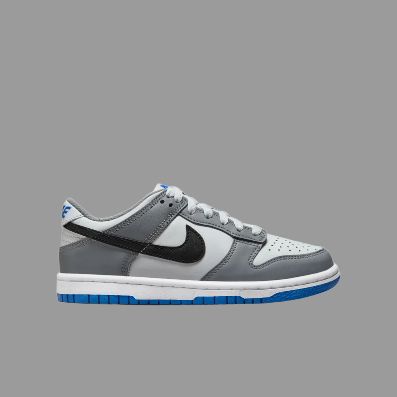 Nike Dunk Low (GS)