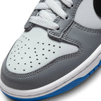 Nike Dunk Low (GS)